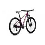 velosipeds-merida-bignine-60-2x-silk-purple-700×700