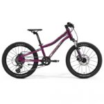 Bērnu velosipēds Merida Matts J.20 purple (black/champange)