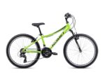 Bērnu velosipēds - Rower ROMET Rambler 24, 13S, 24'', Zaļš/Melns