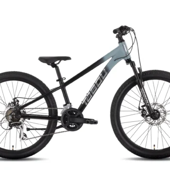 Velosipēds - TABOU BADBOY 24" youth bike (gray/black)
